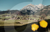 BILD AUS DEM TOGGENBURG