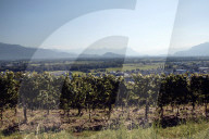 Landschaft bei Balgach SG 2005