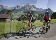 HOTEL STUMPS ALPENROSE IN WILDHAUS