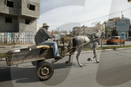 Pferd mit Wagen auf der Strasse, Westjordanland 2003