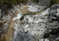Fluss beim Olymp, Griechenland
