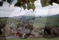 BILD AUS DEM TOGGENBURG