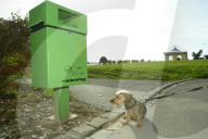 Allmend-Zollikon: Hund vor Robidog 2004