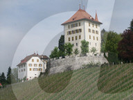 dukas 91144419 sut
