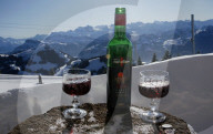 dukas 91145268 sut