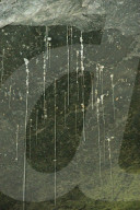 dukas 91145428 sut