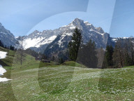 dukas 91146244 sut