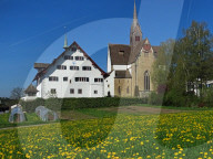 dukas 91146591 sut