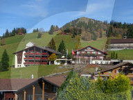 dukas 91147117 sut