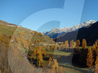 dukas 91147198 sut