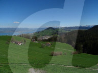 dukas 91147217 sut