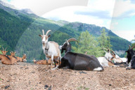 Mit ReiseBlick in Crans-Montana
