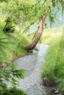 Mit ReiseBlick in Crans-Montana