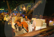Club Med "La Plantation d'Albion"