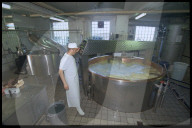 Emmentaler- Herstellung