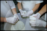 Büffelmozarella- Herstellung