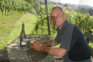 Weinseite