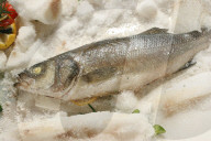 Fisch - Loup de Mer