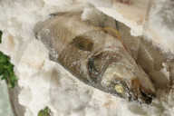 Fisch - Loup de Mer
