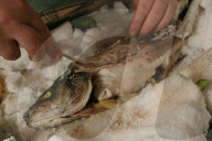Fisch - Loup de Mer
