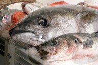 Andre Jaeger, Koch, 2009