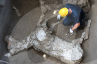 NEWS - Italien: Ausgrabungen in Pompeji