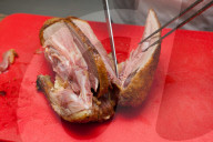 Al Dente Ente-Gipfel