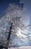 Winterlandschaft bei Kandersteg, 2005