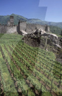 Castelgrande, Befestigungsanlage, 2004