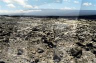 Kilauea Caldera mit Blick auf Mauna Loa