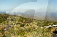 Auf der Chain of Craters Road