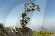 Auf der Chain of Craters Road