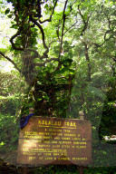 Limahuli Garden