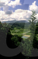 Hanalei Valley