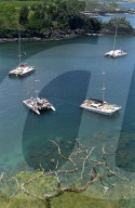 Honolua Bay