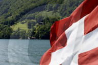 Rütli 2008: Wiese und Schweizerfahne
