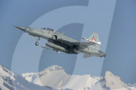WEF 2009: Schweizer Luftwaffe im Einsatz