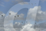 British Royal Navy 2009: Sea Search Defilée Flyby, Royal International Air Tattoo 2009