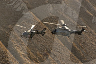 Eurocopter EC635 und Eurocopter AS532UL Cougar Mk1 der Schweizer Luftwaffe 2010