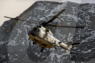 Eurocopter AS532UL Cougar Mk1 der Schweizer Luftwaffe 2010