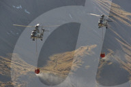 Eurocopter AS532UL Cougar Mk1 der Schweizer Luftwaffe 2010