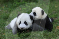 FEATURE - Best of: Bilder des Tages