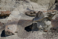FEATURE - New Mexico: Ah-Shi-Sle-Pah Wilderness Study Area bei Bloomfield