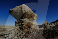 FEATURE - New Mexico: Ah-Shi-Sle-Pah Wilderness Study Area bei Bloomfield