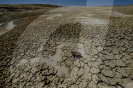 FEATURE - New Mexico: Ah-Shi-Sle-Pah Wilderness Study Area bei Bloomfield
