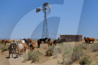 FEATURE - New Mexico: Ah-Shi-Sle-Pah Wilderness Study Area bei Bloomfield