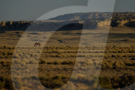 FEATURE - New Mexico: Ah-Shi-Sle-Pah Wilderness Study Area bei Bloomfield