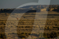 FEATURE - New Mexico: Ah-Shi-Sle-Pah Wilderness Study Area bei Bloomfield