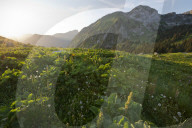 FEATURE - Schweiz: Der Col de Jaman