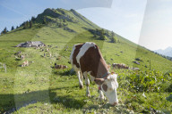 FEATURE - Schweiz: Der Col de Jaman